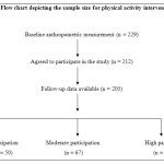 Figure 1: Flow chart depicting the sample size for physical activity intervention