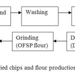 Figure 1. Flow chart of OFSP dried chips and flour production