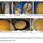 Figure 2.  Flow diagram of OFSP flour enriched bread development at Food Science and Post Harvest Technology Laboratory, 2011