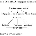 Figure 3: Possible action of CLA (conjugated linolenicacid) on cancer
