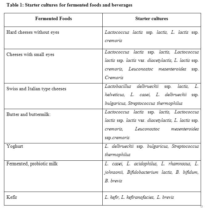 download social theory