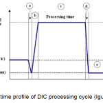 Figure 1 – Pressure time profile.........
