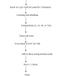 Figure 1: Production of unfermented and fermented Afzelia africana flo