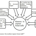 Figure 2.1: Reasons why mothers express breast milk30