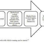 Figure 2.8: Foods with which weaning can be started 74