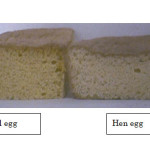 Fig. 4:Comparison of appearance and height between sponge cake using silky fowl egg and hen egg.