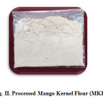 Fig. II. Processed Mango Kernel Flour (MKF)