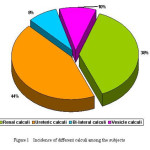 Figure 1- Incidence of different calculi among subjects