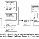 Fig 1. Potential benefits related to reduced sodium consumption from implementing a food procurement policy (Centers for Disease Control and Prevention, 2011).