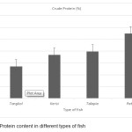 Figure 1. Protein content in different types of fish