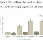Figure 6: Effect of Dietary Fatty acids on adipose tissue LPL activity following up-regulation of LPL expression.