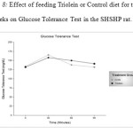 Figure 8: Effect of feeding Triolein or Control diet for two weeks on Glucose Tolerance Test in the SHSHP rat.