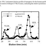 Figure 1: FPLC cholesterol elution profile of transgenic for the human apoB100xCETP mice and control (wildtype C57BL/6) mice, indicating the relative positions of VLDL LDL and HDL.