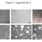 Fig 3.  Microscopic emulsion of whey protein and gelatine crosslinked