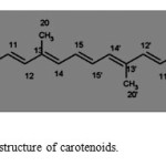 Figure 1. Basic chemical structure of carotenoids. 