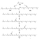 Figure-2 Biosynthesis of natural carotenoids (Kiokias, 2002)