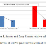 Figure 3. Spunta and Lady Rosetta relative mRNA expression levels of GCN2 gene for two levels of fertilization.