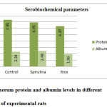 Fig. 2: serum protein and albumin levels in different  groups of experimental rats 