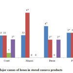 Figure 14: Major causes of losses in stored cassava products