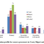 Figure 4: Education profile for cassava processors in Coast, Migori and Busia of Kenya 