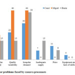 Figure 9: Major problems faced by cassava processors 