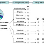 Figure 1. An in silico model of full hydrolysis of cheese whey proteins. RE – predicted number of residual epitopes; BP – bitter peptides; AO – antioxidant peptides; AH – antihypertensive peptides; FAA – free amino acids.