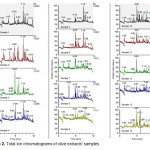 Figure 2. Total ion chromatograms of olive extracts’ samples