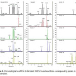 Figure 3. Chromatograms of the 8 standard DKPs found and their corresponding peaks in the olive samples.