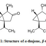 Figure 1: Structure of α-thujone, β-thujone 