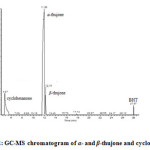 Figure 2: GC-MS chromatogram of α- and β-thujone and cyclohexanone