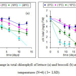 Fig. 1 . Change in total chlorophyll of lettuce (α) and broccoli (b) at 4 different temperatures (Ν=6) ( Ι=  LSD).