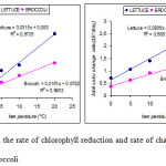 Fig. 2. Change in the rate of chlorophyll reduction and rate of change in total colour for lettuce and broccoli 