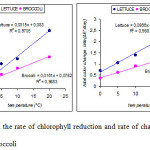 Fig. 2. Change in the rate of chlorophyll reduction and rate of change in total colour for lettuce and broccoli 