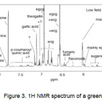 Figure 3. 1H NMR spectrum of a green tea extract.