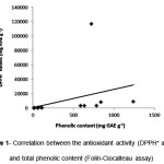 Figure 1- Correlation between the antioxidant activity (DPPH• assay)  and total phenolic content (Folin-Ciocalteau assay)
