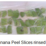 Figure 1 - Green Banana Peel Slices rinsed citric acide solution
