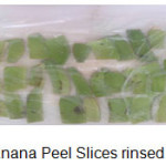 Figure 1 - Green Banana Peel Slices rinsed citric acide solution