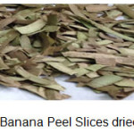Figure 2 – Green Banana Peel Slices dried by   Lyofilization