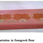 Figure2:  Dhoklas with variation in fenugreek flour
