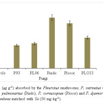 Fig. 2: Se content (µg g-1) absorbed by the Pleurotus mushrooms; P. ostreatus (P93), P. ostreatus (PLO6), P. pulmonarius (Pindo), P. cornucopiae (Plocor) and P. djamor (PLO13) cultivated on U. decumbens enriched with Se (50 mg kg-1).