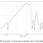 Fig 4. FT-IR spectrum of exopolysaccharides from Penicillium sp.