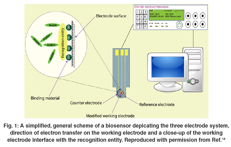 Rapid and accurate electrochemical sensor for food allergen detection in  complex foods