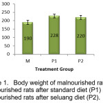 Figure 1.	Body weight of malnourished rats (M),  malnourished rats after standard diet (P1) and  malnourished rats after seluang diet (P2)