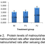 Protein levels of malnourished rats  (M), malnourished rats after standard diet (P1)  and malnourished rats after seluang diet (P2).