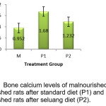 Bone calcium levels of malnourished rats (M),  malnourished rats after standard diet (P1) and  malnourished rats after seluang diet (P2)