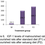 IGF-1 levels of malnourished rats (M),  malnourished rats after standard diet (P1) and  malnourished rats after seluang diet (P2)