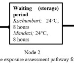 Figure 1. Flowchart showing the exposure assessment pathway for Salmonella in kachumbari and mandazi