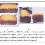 Fig 2 Effect of HPMC and WPC-70 on GF Bread Texture a- Control Bread with textural defects (on top); Optimized Bread without textural defects (below) b- Control Bread with low loaf volume (on left side); Optimized Bread with improved loaf volume (on right side)