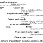 Figure 1. The scheme of percolation extraction guidance of cashew apple