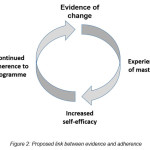 Figure 2: Proposed link between evidence and adherence